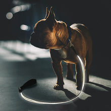 Load image into Gallery viewer, LED Dog Leash Luminous Rope Lead Leash For Dog Safety Flashing Glowing Dog Collar Harness Electronic Pet Accessories
