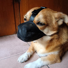Load image into Gallery viewer, Anti Barking Dog Muzzle For Small Large Dogs Adjustable Mesh Breathable Pet Mouth Muzzles Nylon Straps Dog Accessories
