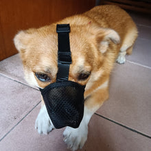 Load image into Gallery viewer, Anti Barking Dog Muzzle For Small Large Dogs Adjustable Mesh Breathable Pet Mouth Muzzles Nylon Straps Dog Accessories
