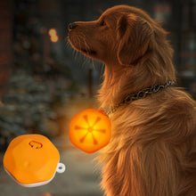 Load image into Gallery viewer, Pet Night Walking Safety Light Pendant Dog Puppy Led Silicone Glowing Collar Flashing Pendant Outdoor Hiking Backpack Bag Lights
