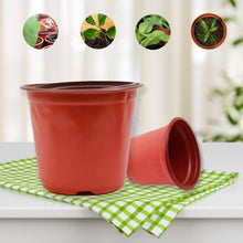 Load image into Gallery viewer, 100Pcs 4 Size Plant Pot Garden Nursery Cup Flowerpots Planter Seed Trays Flower Vegetable Container Grow Box
