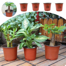 Load image into Gallery viewer, 100Pcs 4 Size Plant Pot Garden Nursery Cup Flowerpots Planter Seed Trays Flower Vegetable Container Grow Box
