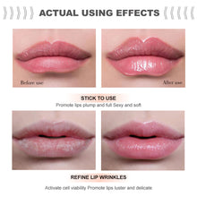 Load image into Gallery viewer, Ginger Mint Lip Enriching Oil Plant Lip Care Essence Liquid Enhances Plump Lip Lip Oil Makeup Cosmetics
