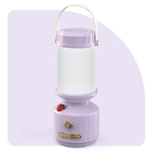 Load image into Gallery viewer, Portable Outdoor Camping Light With Ladybug Decorated LED USB Rechargeable Hanging Portable Ambiance Light
