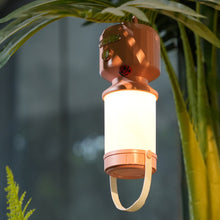 Load image into Gallery viewer, Portable Outdoor Camping Light With Ladybug Decorated LED USB Rechargeable Hanging Portable Ambiance Light
