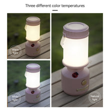 Load image into Gallery viewer, Portable Outdoor Camping Light With Ladybug Decorated LED USB Rechargeable Hanging Portable Ambiance Light
