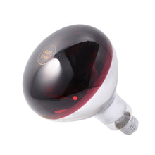 Load image into Gallery viewer, 150W 220V 50Hz Handheld Heat Lamp Box Car Bodywork Tint Display Lamp Ultraviolet Heat Box For Paint Drying Window Film Test with Glass
