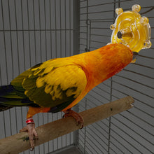 Load image into Gallery viewer, Bird Parrot Interactive Toy Bird Turntable Hang Toys Sounding Ball Toys Stand Playing Cage Accessories Pet Supplies
