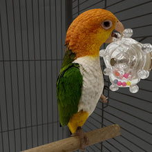 Load image into Gallery viewer, Bird Parrot Interactive Toy Bird Turntable Hang Toys Sounding Ball Toys Stand Playing Cage Accessories Pet Supplies
