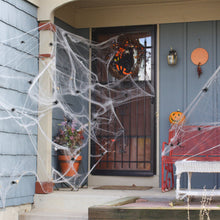 Load image into Gallery viewer, 100pcs Halloween Spiders Decorations Small Black Luminous Plastic Spiders Haunted House Spider Decoration Simulation Tricky Toy
