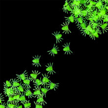 Load image into Gallery viewer, 100pcs Halloween Spiders Decorations Small Black Luminous Plastic Spiders Haunted House Spider Decoration Simulation Tricky Toy
