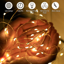 Load image into Gallery viewer, 5Pcs/Pack Mini Fairy Lights Copper With 3 Speed Modes for Christmas Decorations Wedding Party Bouquet Decoration LED String Fairy Lights
