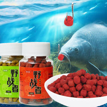 Load image into Gallery viewer, 1Bottle 38G Lazy Man Pellet Bait Fruity Aroma Fishy Aroma Wild Fishing Black Pit For Crucian Carp Black Carp
