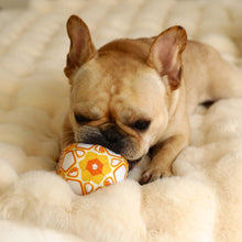 Load image into Gallery viewer, Dog Interactive Tug Ball Toy for Aggressive Chewers Training Decompress Bite Resistant Plush Handle Dog Toys with Bells Pet Supplies
