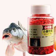 Load image into Gallery viewer, 1 Bottle Lure Wild And Black Pit Wheat Pellet Bait Fishy-Aroma Attractant For Crucian Carp Grass Carp
