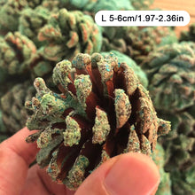 Load image into Gallery viewer, Magic Fire Colored Flame Powder Magic Fire Party Beach Bonfire Party Supplies Natural Pine Cones
