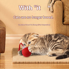 Load image into Gallery viewer, Cat Interactive Ball Toys Automatic Rolling Ball Faux Tail Rechargeable Smart Pet Electric Toy Dog Cat Training Imitate Mouse
