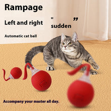 Load image into Gallery viewer, Cat Interactive Ball Toys Automatic Rolling Ball Faux Tail Rechargeable Smart Pet Electric Toy Dog Cat Training Imitate Mouse
