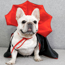 Load image into Gallery viewer, Halloween Pet Costumes Cute Cosplay Vampire Cloak Cat Dog Cap With Horns Kitten Puppy Cape Pet Dress Up Clothes Dog Accessories
