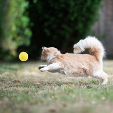 Load image into Gallery viewer, Pet Cat Dog Interactive Smart Ball Toy for Active Rolling Ball Bite Resistant Plush Cover Dog Toys Pet Supplies
