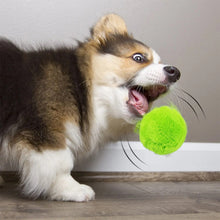 Load image into Gallery viewer, Pet Cat Dog Interactive Smart Ball Toy for Active Rolling Ball Bite Resistant Plush Cover Dog Toys Pet Supplies

