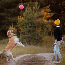 Load image into Gallery viewer, Pet Cat Dog Interactive Smart Ball Toy for Active Rolling Ball Bite Resistant Plush Cover Dog Toys Pet Supplies
