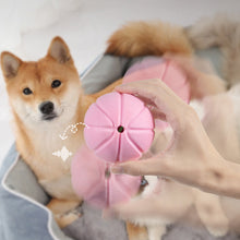 Load image into Gallery viewer, Pet Toy Dog Feeding Toy Clean Teeth Toothbrush Teeth Grinding Ball Chew Toys Teeth Cleaning Stick Pet Products
