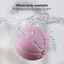 Load image into Gallery viewer, Pet Toy Dog Feeding Toy Clean Teeth Toothbrush Teeth Grinding Ball Chew Toys Teeth Cleaning Stick Pet Products
