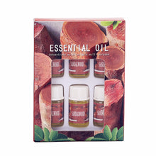 Load image into Gallery viewer, 6Pcs 3ml Car Essential Oils Aroma Diffuser Air Humidifier Water-soluble Air Freshener Scents Fragrance Car Perfume Refill with Box
