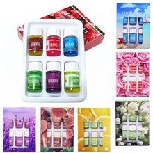 Load image into Gallery viewer, 6Pcs 3ml Car Essential Oils Aroma Diffuser Air Humidifier Water-soluble Air Freshener Scents Fragrance Car Perfume Refill with Box
