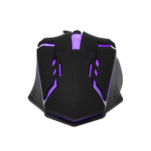Load image into Gallery viewer, Ergonomic Design Gaming Mouse Desktop Computer Laptop USB Sports LED Luminous Backlit Wired Mouse

