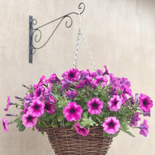 Load image into Gallery viewer, Metal Lantern Flower Basket Feeder Hook Home Bird Street Lamp Bracket Outdoor Hook Metal Wall Hanging Basket Hook
