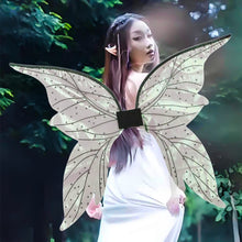 Load image into Gallery viewer, Butterfly Wings, Irregular Dots, Cicada Wings, Elf Costumes, Angel Wings, Stage Performance Props
