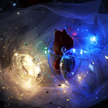 Load image into Gallery viewer, 17cm PVC Organizer Box For Labubu Dust-Proof Transparent Face Shield for Dolls Transparent Ball Christmas Decoration Festival Ceiling Pendant
