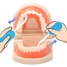Load image into Gallery viewer, 2-in-1 Orthodontic Teether Braces Extractor Detachable Durable Food Grade Orthodontic Bite Adhesive Portable Braces Extractor
