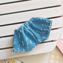 Load image into Gallery viewer, 10-15cm Doll Cotton Dolls Dress New Baby Clothes Doll Clothes Multicolor Embroider BJD Doll Clothes Master Dog
