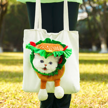 Load image into Gallery viewer, Pet Cat Carrier For Small Medium Cats Backpack Puppy Cats Shoulder Bag Outdoor Walking Bags

