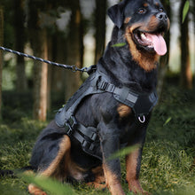 Load image into Gallery viewer, 10-45kg Pet Dog Harness for Outdoor Use Set Dog Vest Strap Adjustable Breathable Harness for Dogs Puppy and Cats
