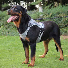 Load image into Gallery viewer, 10-45kg Pet Dog Harness for Outdoor Use Set Dog Vest Strap Adjustable Breathable Harness for Dogs Puppy and Cats
