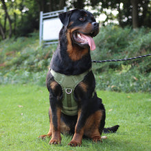 Load image into Gallery viewer, 10-45kg Pet Dog Harness for Outdoor Use Set Dog Vest Strap Adjustable Breathable Harness for Dogs Puppy and Cats
