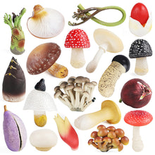 Load image into Gallery viewer, Pretend Play Toy Cute Fruits Vegetables Mushroom Model Cake Toppers Foods Family Fun Early Education For Kids Gift
