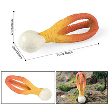 Load image into Gallery viewer, Pretend Play Toy Cute Fruits Vegetables Mushroom Model Cake Toppers Foods Family Fun Early Education For Kids Gift
