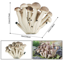 Load image into Gallery viewer, Pretend Play Toy Cute Fruits Vegetables Mushroom Model Cake Toppers Foods Family Fun Early Education For Kids Gift
