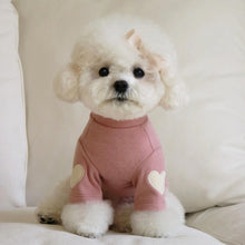 Load image into Gallery viewer, Autumn and Winter Dog Base Shirt Cute Love Bear Teddy Hoodie Dog Cat Pet Love Warm Clothes Designer Dog Clothes
