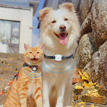 Load image into Gallery viewer, Bluetooth Smart Pet Locator Waterproof Anti-Lost Location Tracker Collar For Cats Dogs Positioning Tracker Locating Waterproof
