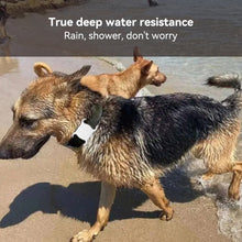 Load image into Gallery viewer, Bluetooth Smart Pet Locator Waterproof Anti-Lost Location Tracker Collar For Cats Dogs Positioning Tracker Locating Waterproof
