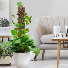 Load image into Gallery viewer, Moss Pole Plastic Plant Stand Indoor Climbing Plants Guardian Tutors Pot Moss Stick For Plants Growth Garden Support Accessories

