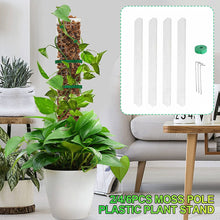 Load image into Gallery viewer, Moss Pole Plastic Plant Stand Indoor Climbing Plants Guardian Tutors Pot Moss Stick For Plants Growth Garden Support Accessories
