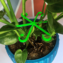 Load image into Gallery viewer, 4PCS Reusable Plant Stem Folding Frame Garden Tools No Stake Trellis Plant Stem Support Support Branches Stem Organizer
