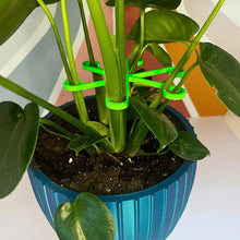 Load image into Gallery viewer, 4PCS Reusable Plant Stem Folding Frame Garden Tools No Stake Trellis Plant Stem Support Support Branches Stem Organizer
